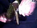big northern pike fishing no net hand grab nice watch
