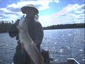 big northern pike fishing no net hand grab nice watch