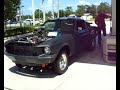 Thumper 1967 mustang