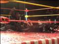 Guerreros del Ring