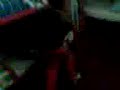 la gran pelea entre hermanos!!!