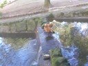 Vigo Zoo 2