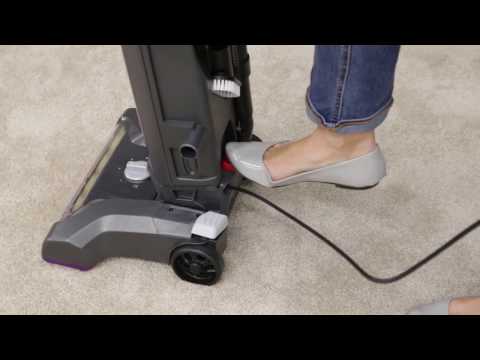 Powerlifter Pet Bagged - Excessive Noise Video 2019