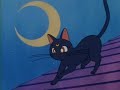 sailor moon Ep. 04 parte 1 (espa�ol latino)