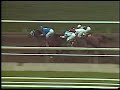 John Henry - 1982 Santa Anita Hdcp