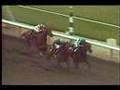 John Henry - 1982 Santa Anita Hdcp