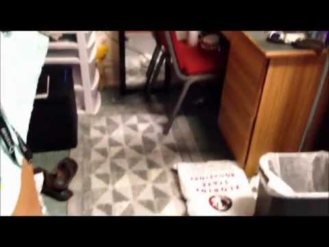 hall. dorms - This is my summer dorm room at FSU! I haven't had the chance to make a video on here in a while because I have literally been so busy! FSU has been amazing a...