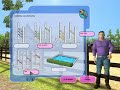 MY GALLOPS 3D
