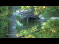 Zen Garden - Tranquility, Meditation & Relaxation - 30 Minutes of Transcendental Bliss
