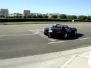 Vipers Leaving