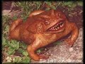 Weird Really Scarey Pictures - WTF - www.magicthoughts.com Weird Really Scarey Pictures - WTF - www.magicthoughts.com