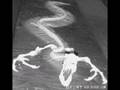 Weird Really Scarey Pictures - WTF - www.magicthoughts.com