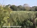 Labores en huerta del Museo Hudson