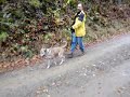 freundliche schöne Nikita - Tierheim Liepvre