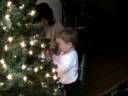 tree trimming.avi tree trimming.avi