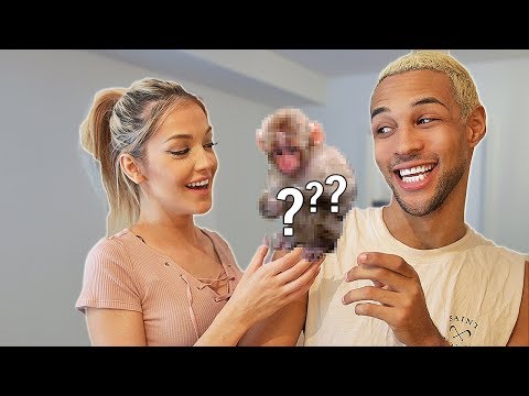 Unser neues HAUSTIER!! 😍