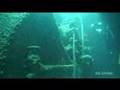 TAIEI MARU WRECK DIVING (沈船ダイビング)