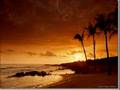 Meditation Music For the Mind
