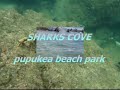 HAWAII SNORKELING / ??????????? HAWAII SNORKELING / ???????????