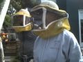 Cut Out School with Kirk Backwards Beekeepers