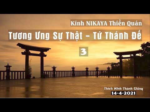 Kinh NIKAYA Thiền Quán - Tương Ưng Sự Thật - Tứ Thánh Đế 3