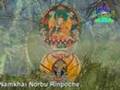 BUDDHISM, PEACE & ECOLOGY-International day of planet Earth