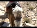 Taglit-Birthright Israel: Shorashim - SH-18-64! Part 2 Taglit-Birthright Israel: Shorashim - SH-18-64! Part 2
