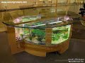 Decoration House.wmv