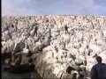 Ίμια (1996) - To αμοντάριστο τηλεοπτικό υλικό