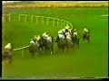 1981 (212) Premio PUERTA DE ALCALA (Hand.) (2.ªC.) (PERLORA)