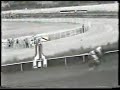 1981 (212) Premio PUERTA DE ALCALA (Hand.) (2.ªC.) (PERLORA)