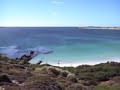 Gypsy cove penguins in Stanley Falkland Islands