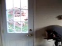 3708 Soderburg Dr Part 2- Cyrus Green , EcoBroker