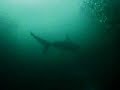Blue Planet, Ocean World. 2 Of 5