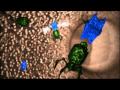 Anti Viral Colostrum