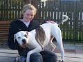 Dogs at Many Tears Recsue overlooked because of their breed
