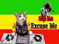 ninja man - excuse me
after moving from his birthplace annotto bay to kingston at the age of 11, he launched his deejay career with the black culture sound system at age 12 as 