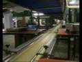 videos de trollsORG.wmv