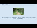 櫛形山 (山梨県)
