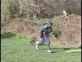 kleptos-dog-walk.html