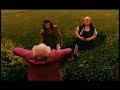 Mrtav ladan - Radovan