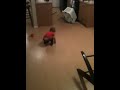کلیپ:-:اینجوری بچه رو میندازن تو تله