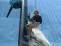 Pacific Cup 2004 ~ Mari Cha IV Prepares