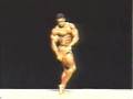 Bodybuilder-Flex-Whe