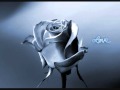 LE BONHEUR... !