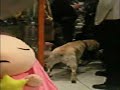 daisuke and dog
