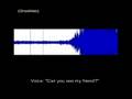 EVP - A Haunted Little Girl?