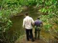 videos de Finca La Primavera_1