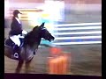nazionale a Portogruaro salto ostacoli b110