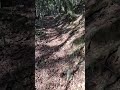 南アルプス市最高ーー櫛形山